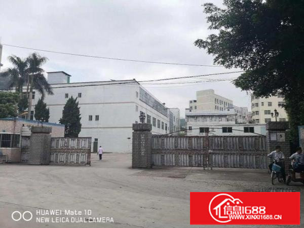 龙岗北通道五联钢构厂房3000平出租实际面积无公摊