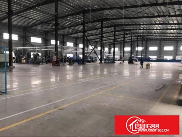 伦教全新简易厂房3500方，光线好，交通方便