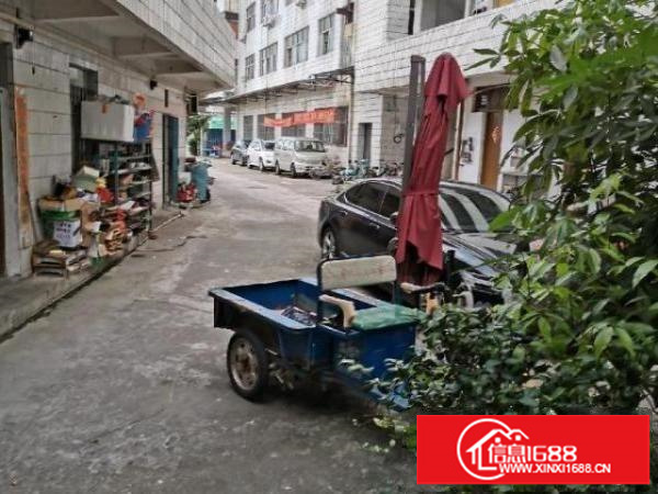 一楼厂房招租不是中介价格平