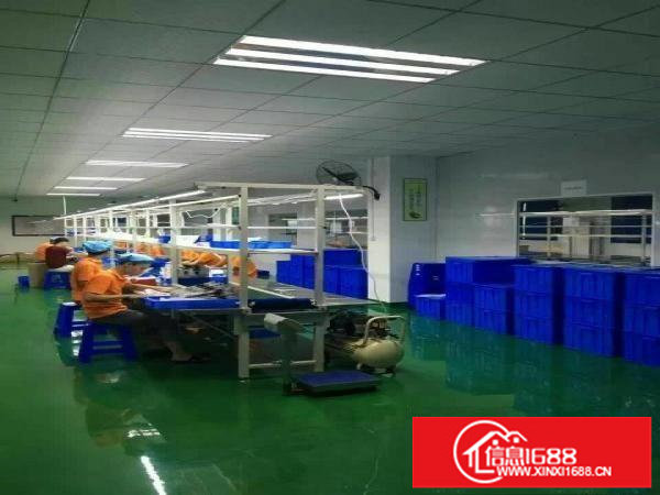 龙岗南联红本独院带喷淋两部货梯外观形象好空地大年限长