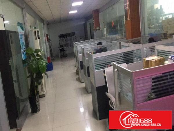 坂田上雪科技园东区10号H栋厂房600平米