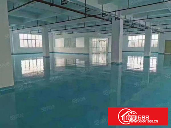 塘厦横塘独院标准2楼2200平方！全层蓝色地坪漆精装修