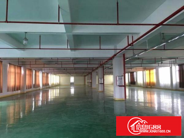 大亚湾独院厂房，9000带现成装修