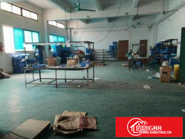 坪山大道南湖现成一楼1350平高5米标准厂房出租