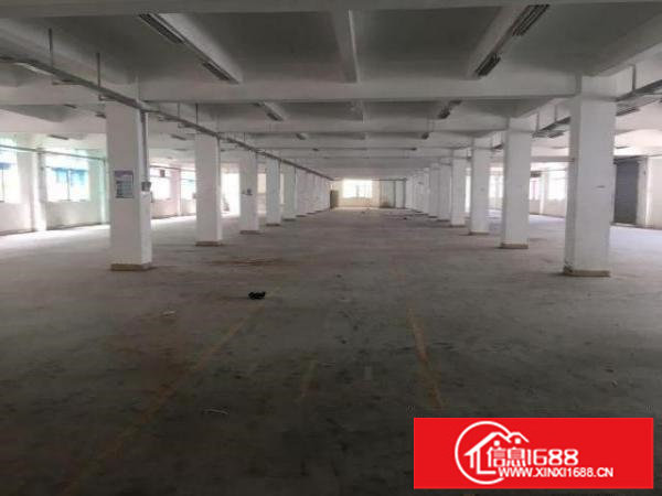 专业氧化工业厂房出租龙华区观澜