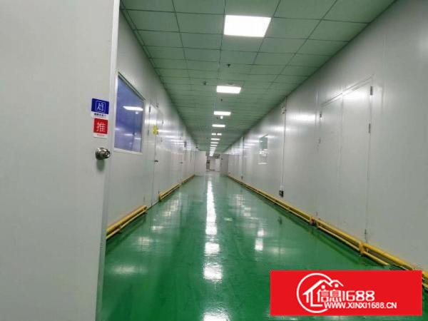 凤岗雁田工业区厂房仓库招租5万平方200平方起租现在无尘车间