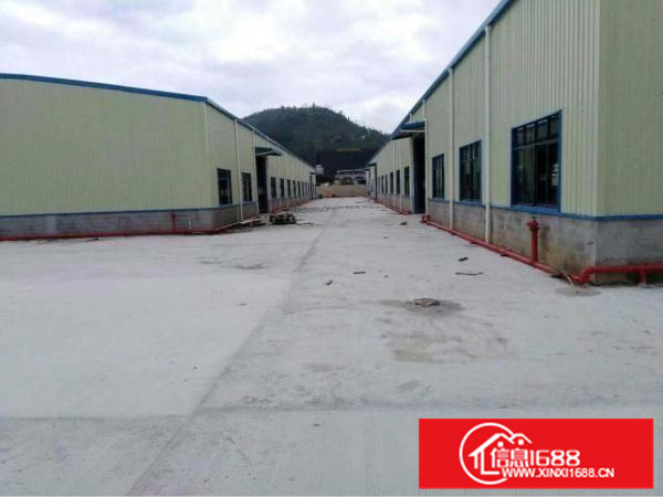 陈江高速出口附近00全新独院钢构厂房