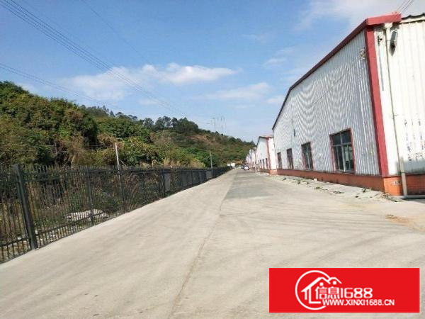 坪地年丰六米高钢构厂房4500平米