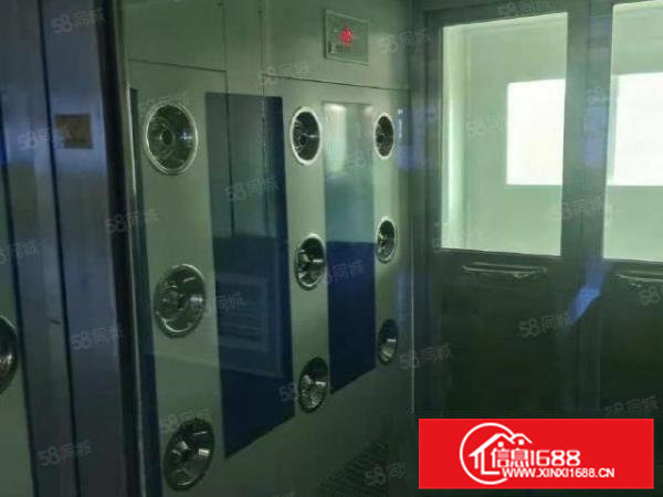 常平花园式国有证厂房出租