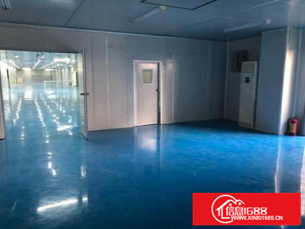 精装修十万级无尘车间，1600㎡。