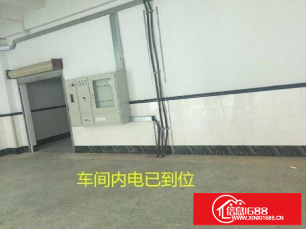 大型厂房出租，2~5万平方米，空地超大，可以做学校