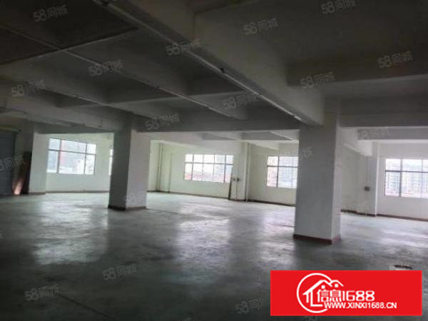 厂房出租750方一整层带办公室装修厂房全新2吨电梯