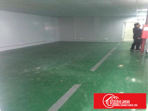 坂田300平方500平方