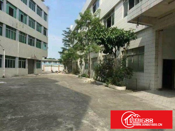 容桂标准800厂房出租、形象好、招工易、近大马路