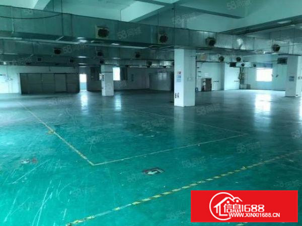 桥头镇原房东独院厂房，可分租，车间采光好，格局方正