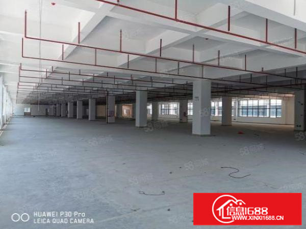 企石镇高新产业园10万平独院带红本消防喷淋可办环评大小可分