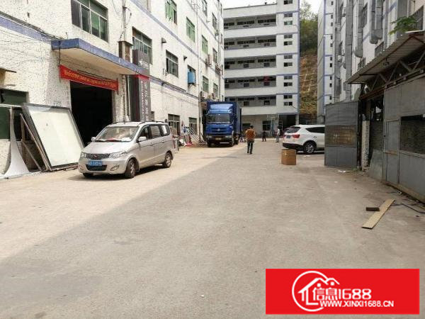 龙岗中心城五联标准一楼1450出租