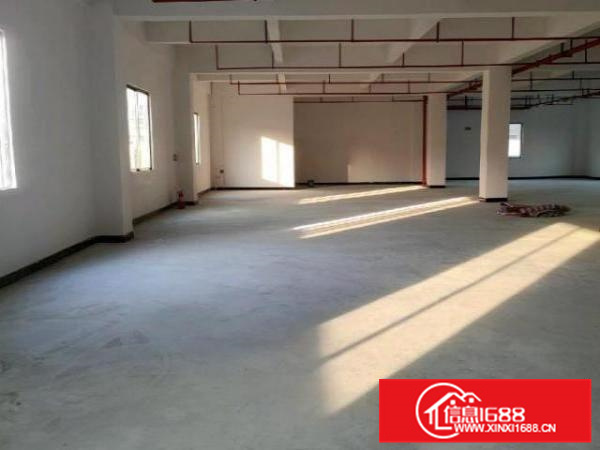 原房东标准楼层厂房(可分租)