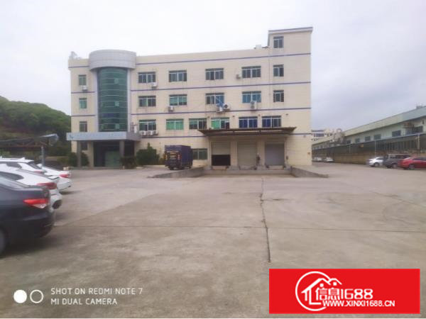 大岭山新出园区厂房1780平方自带卸货平台