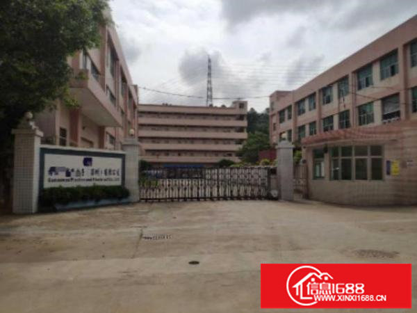 松岗洪桥头新出独院原房东厂房3300平方有红本带装修实际面积