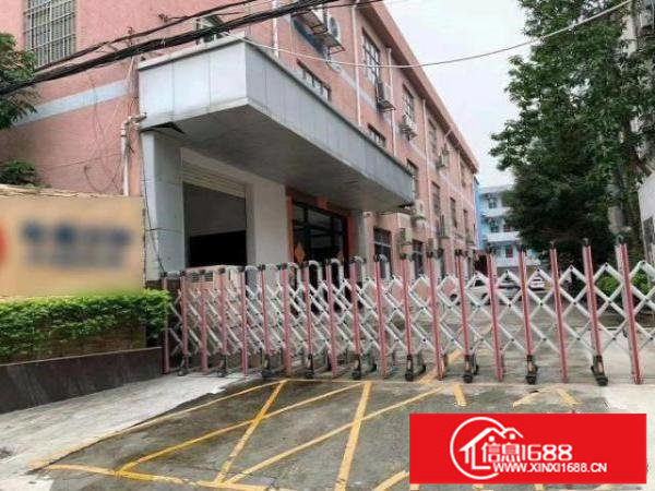 福永凤凰原房东独院厂房3600平带豪华装修