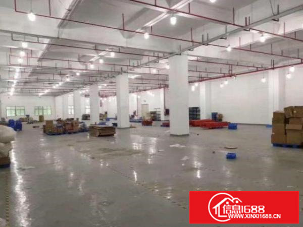 光明根竹园社区一楼1460平精装厂房出租可分租