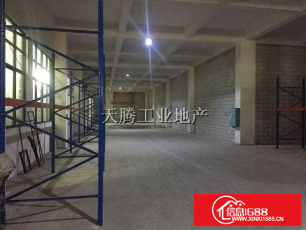 大良凤翔首层1000方高6.5米电100千瓦