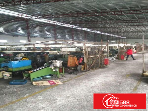 惠州惠阳镇隆镇原房东一楼独院钢构2300平滴水8米