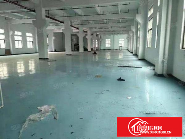 形象好可办环评容桂2000方标准一楼进车方便配电大b