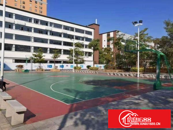 坂田天虹带红本厂房新出楼上整层5000平标准厂房招租