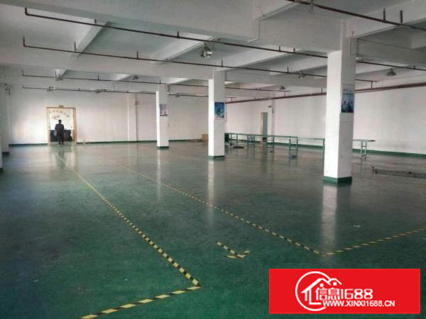 东坑新出小独院厂房3层2400平方，客户自已交电费