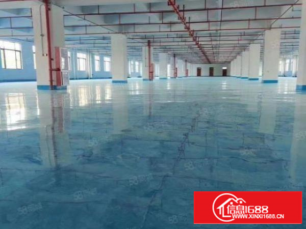 卢边原房东厂房分租2000方，现成制衣线路，超低价11.5