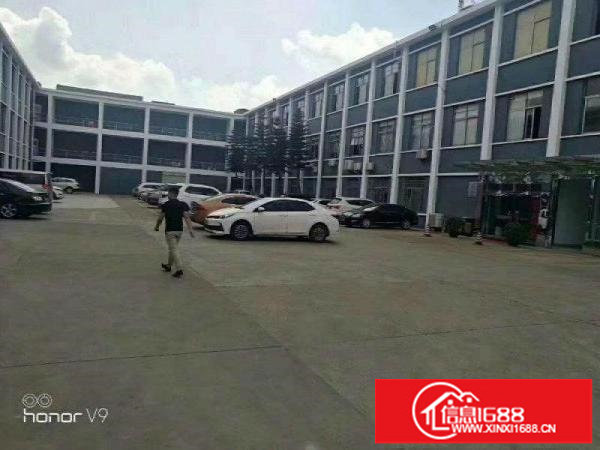 龙岗龙东原房东厂房单层850平米出租