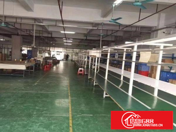 长安沙头原房东1000平厂房出租可分租仓库交通好