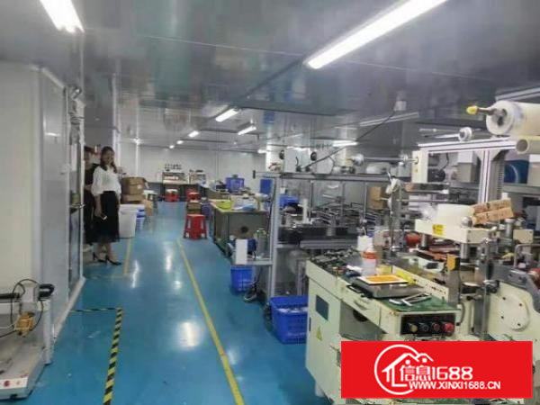 出租横沥三江工业区300平方厂房，精装修水电齐全