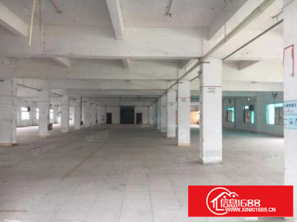 万江都会广场附近独院二三四楼厂房各1500平方可分租水电到位