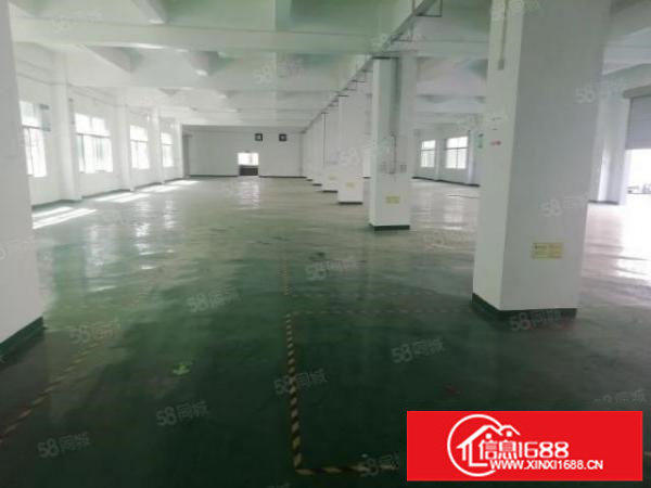 龙岗坪地新出原房东一楼1500平标准厂房出租有红本全新地坪漆