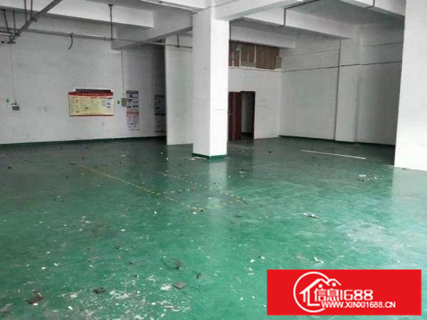 坂田坂雪岗大道新房源！厂房380平方便宜出租，使用率高