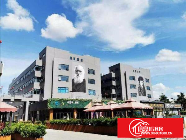 黄江灵狮小镇全新厂房招租