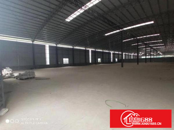 大岭山杨屋国道边5000平滴水8米以上钢构厂房出租物流空地大