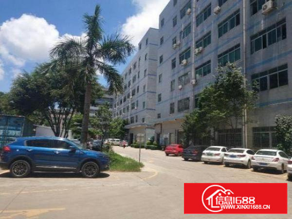 石岩料坑大道旁原房东楼上带精装修厂房1200平出租