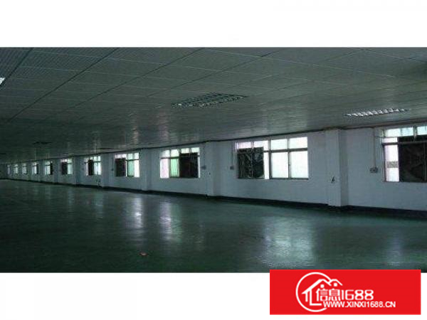 大亚湾比亚迪附近红本工业园二万五平方急租