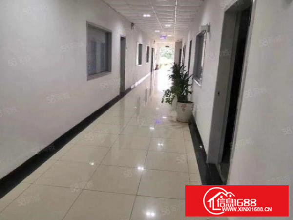 大岭山厚大路3600平米10米高钢构招租，可办环评可分租