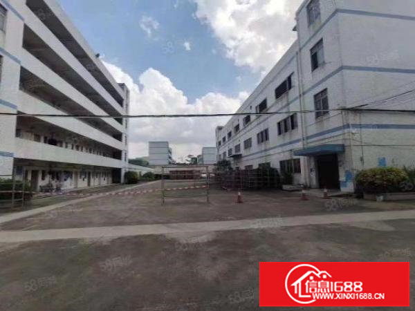 观澜主干道边上，位置优越，超大空地独院厂房4800平方可分租