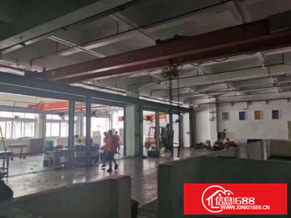 清溪罗马村新出1楼800平带行车办公室，车间水电齐全