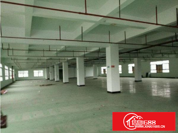 出租博罗柏塘独院厂房3000平米大小可分租