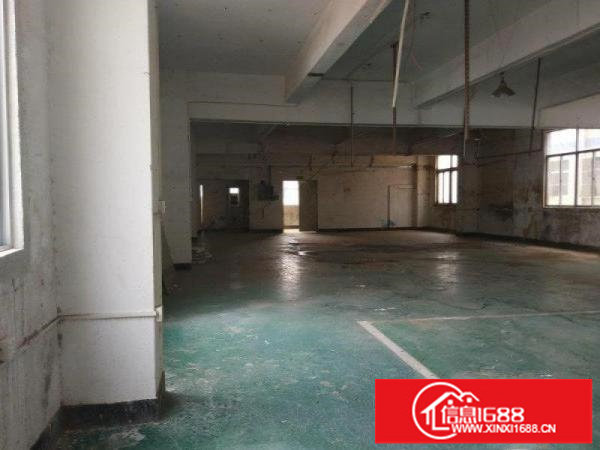 龙岗双龙地铁口业主直招一楼仓库320平7000打包