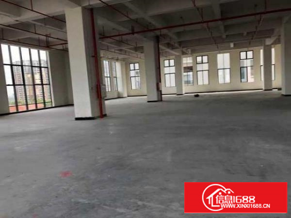 （出租）房东直招东莞厚街大道独栋独院厂房（非中介）