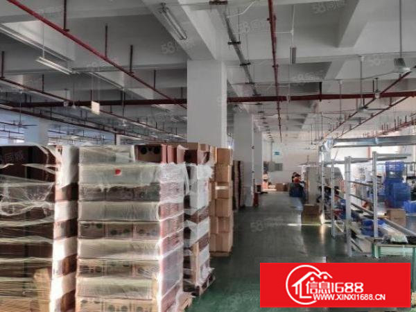 光明高铁城附近原房东红本独院无公摊可整租分租500平起办环评