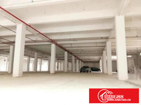 高埗新出独院标准楼房6500平方出租厂房宽趟、光亮，靠主干道